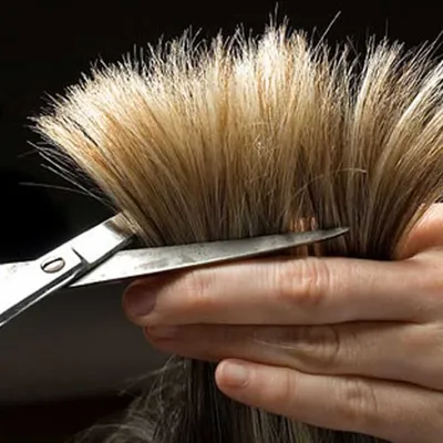 Hair Cutting & Styling